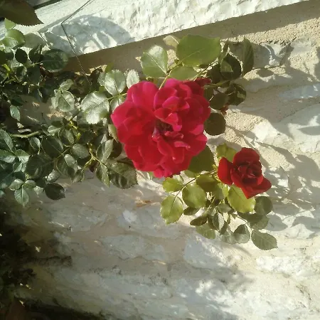 بيت ضيافة To Archontiko Tis Marias